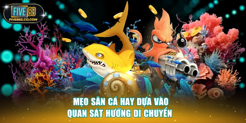 Mẹo săn cá hay dựa vào quan sát hướng di chuyển