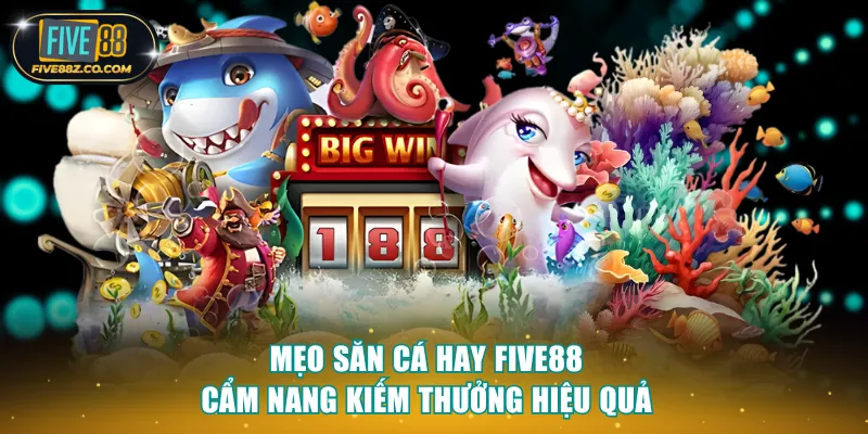 mẹo săn cá hay